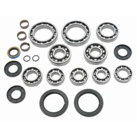 ALL BALLS РЕМОНТНИЙ КОМПЛЕКТ ЗАДНЬОГО ДИФЕРЕНЦІАЛА POLARIS DIESEL 455 4X4 00-01, SPORTSMAN 400 4X4 02-03 SPORTSMAN 500 4X4 DUSE (ДОДАТКОВИЙ ОПИС)