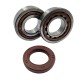 Підшипники колінвала BEARING WORX KTM SX/EXC 400/450/520/525 (NTN) (MADE IN JAPAN) (24-1106)
