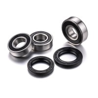 FACTORY LINKS 2025/02 ПІДШИПНИКИ ЗАДНЬОГО КОЛЕСА З САЛЬНИКАМИ SUZUKI DRZ 400 S / SM '00-'19 (25-1117)