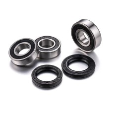 FACTORY LINKS 2025/02 ПІДШИПНИКИ ЗАДНЬОГО КОЛЕСА З САЛЬНИКАМИ SUZUKI DRZ 400 S / SM '00-'19 (25-1117)