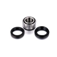 FACTORY LINKS 2025/02 ПІДШИПНИКИ ПЕРЕДНЬОГО / ЗАДНЬОГО КОЛЕСА З САЛЬНИКАМИ ARCTIC CAT 250 / 300 / 375 / 400 / 500 / 600 '97-'05 (25-1434)