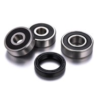 FACTORY LINKS 2025/02 ПІДШИПНИКИ ЗАДНЬОГО КОЛЕСА З САЛЬНИКАМИ HONDA CBF 125 '09-'13, CBR 125 R '04-'10, CT 125 '21-'23, GROM 125 '14-'24, MONKEY '18-'24, MSX 125 GROM '13-'24, Z 125 M '19-'23 (25-1600)