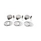 Комплект поршнів WOSSNER SEA DOO SPARK ACE '14-'19 (4T) (+1 MM=75,00 MM) (Поршень 74,94MM) (3 шт) (Палець 17MM) (Поршень SEA DOO) 11.0:1