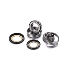 FACTORY LINKS 2025/02 ШАРИКИ ГОЛОВКИ РАМИ З УЩІЛЬНЮВАЧАМИ HONDA CB / CBF / CBR / CBX / CMX / CTX / CX / NC / NSA / NT / NX / NTV / GL / ST / VF / VFR / VT / VTR / VTX / XL 1000 V, TRIUMPH BONNEVILLE 800 / 865, SCRAMBLER / SPEEDMASTER 865 (22-1020)