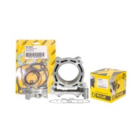 Комплект циліндра PROMX (циліндр + поршень PROX селекція 