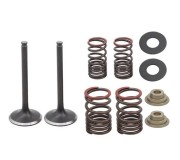 Комплекти випускних клапанів (сталевих) і пружин