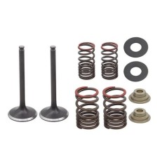 PSYCHIC 2025/05 Випускні клапани (комплект з пружинами і шайбами) Honda CRF 250 F '19-'24 сталеві