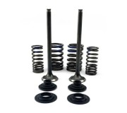 Комплекти впускних (сталевих) клапанів і пружин