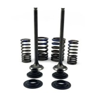 PSYCHIC ВПУСКНІ КЛАПАНИ (КОМПЛЕКТ 2 ШТ. КЛАПАНІВ З ПРУЖИНАМИ І ШАЙБАМИ) HONDA CRF 250 F '19-'24 СТАЛЕВІ