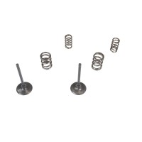 WISECO КОМПЛЕКТ ВПУСКНИХ КЛАПАНІВ + ПРУЖИНИ KAWASAKI KX 450 F (KXF 450) '06-'08