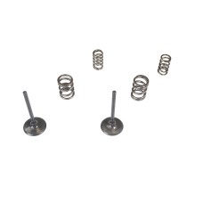 WISECO КОМПЛЕКТ ВПУСКНИХ КЛАПАНІВ + ПРУЖИНИ KAWASAKI KX 450 F (KXF 450) '06-'08