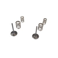 WISECO КОМПЛЕКТ ВПУСКНИХ КЛАПАНІВ + ПРУЖИНИ KAWASAKI KX 450F '09-'10