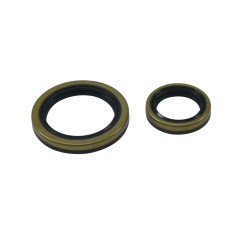 ALL BALLS Сальники колінвала BETA EVO 4T 250 '09-'18, EVO 4T 300 '09-'21