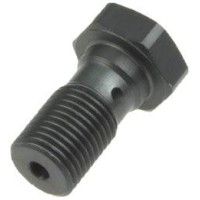 Гідравлічний болт TRW ZF для гальмівних шлангів M10X1,00 Brembo титановий колір (акція)