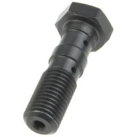 TRW ZF гідравлічний болт для гальмівних шлангів M10X1,25 подвійний титановий колір (АКЦІЯ)