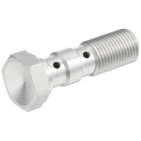 TRW ZF гідравлічний болт для гальмівних шлангів M10X1,00 подвійний сріблястий (АКЦІЯ)