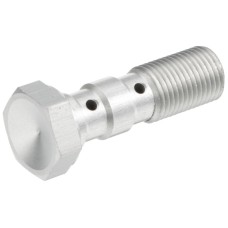 TRW ZF гідравлічний болт для гальмівних шлангів M10X1,00 подвійний сріблястий (АКЦІЯ)