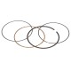 VERTEX Кільця (діаметр 77 мм) (комплект) - замінюють 590277000002