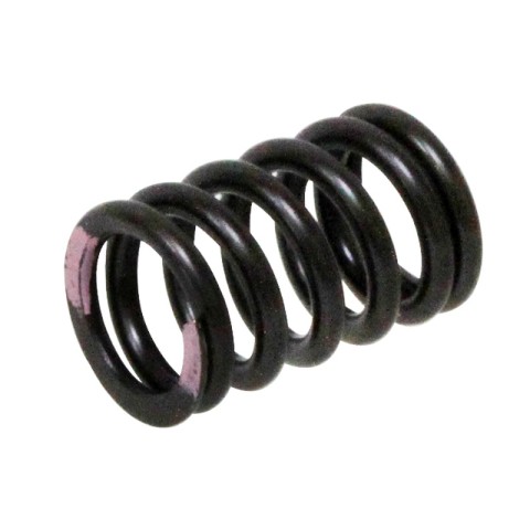 PSYCHIC пружина впускного клапана Kawasaki KXF 250 '11-'16 (MX-09539IS)