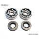 Підшипники колінвала BEARING WORX для Kawasaki KX 65/80/85, Suzuki RM 60/65 (NTN) (MADE IN JAPAN) (24-1006)