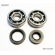 Підшипники колінвала з сальниками BEARING WORX Kawasaki KX 125 88-07 (NTN) (MADE IN JAPAN) (24-1008)