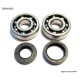 Підшипники колінвала з сальниками Yamaha YZ 125 86-00 (NTN) (Made in Japan), 24-1024 BEARING WORX
